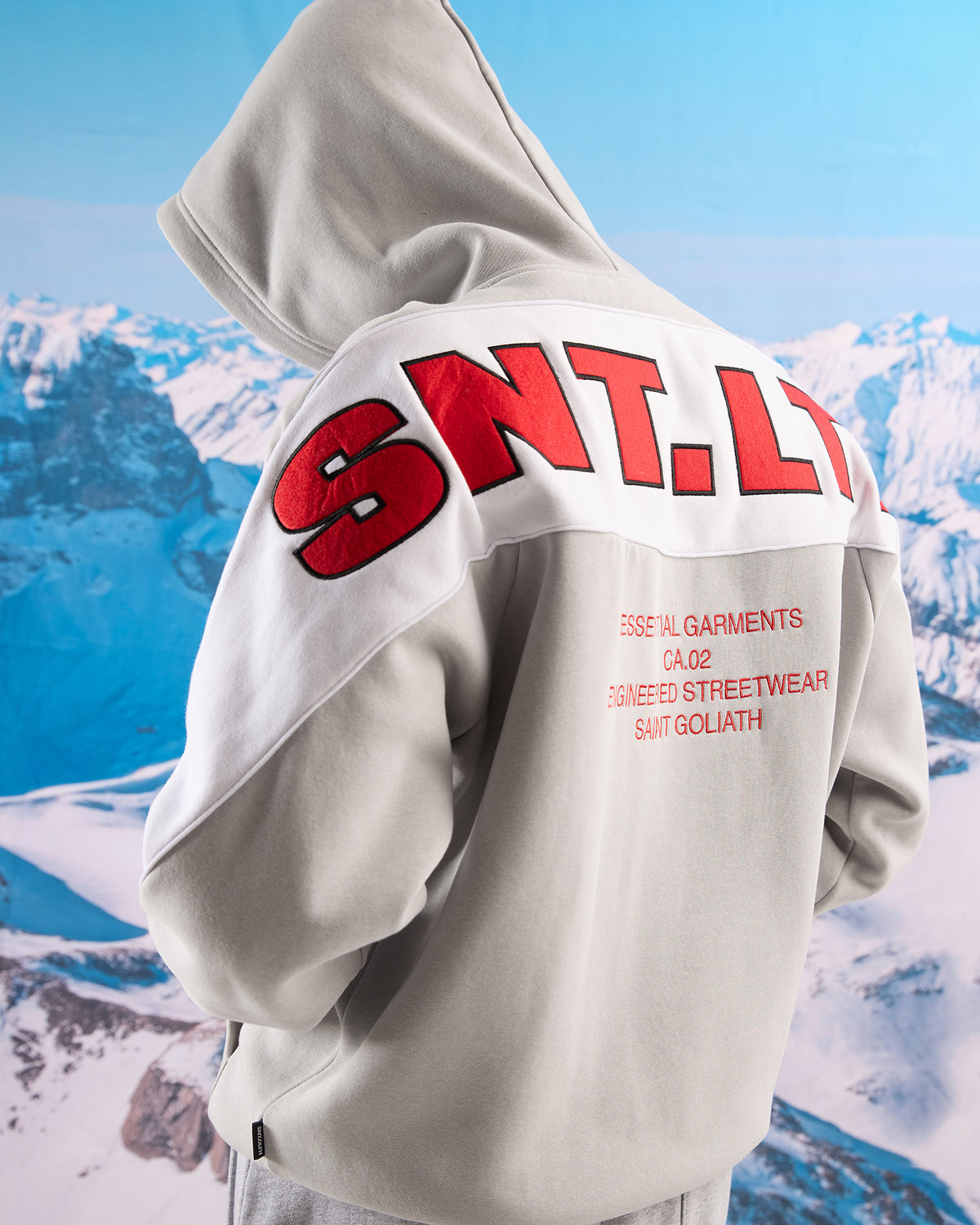 Pro Bold Hoodie Grey