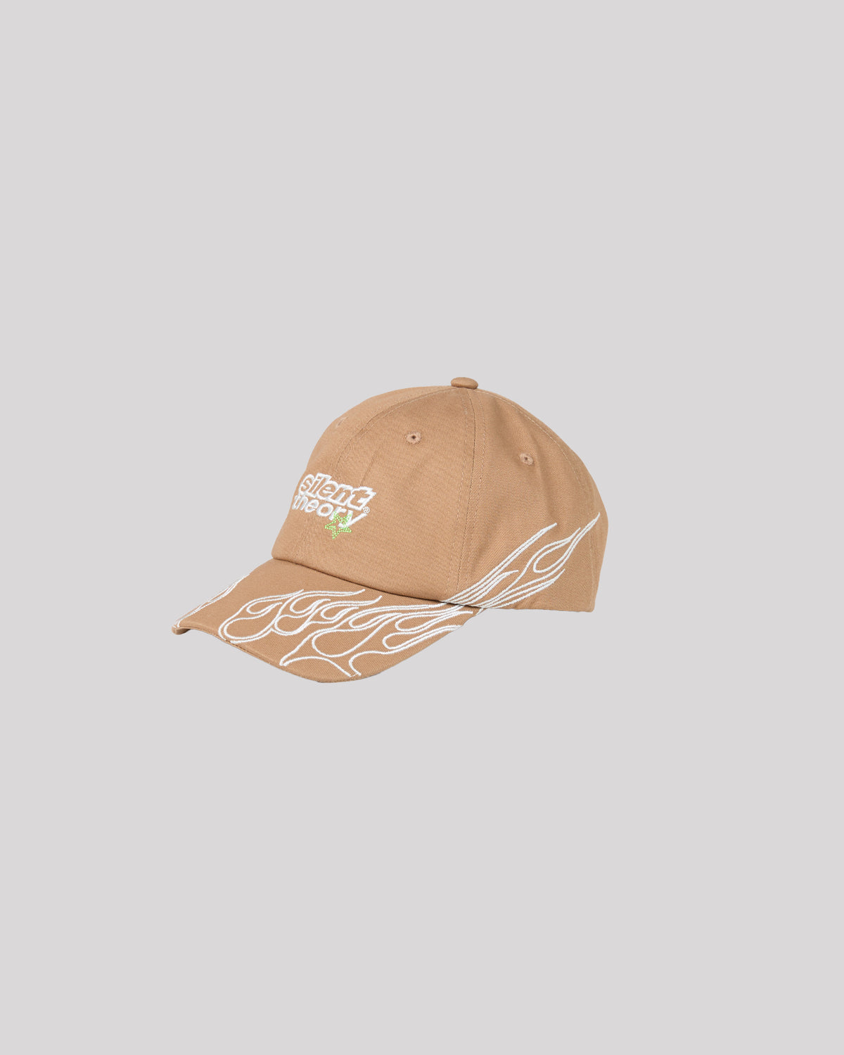 Charged Washed Cap Tan