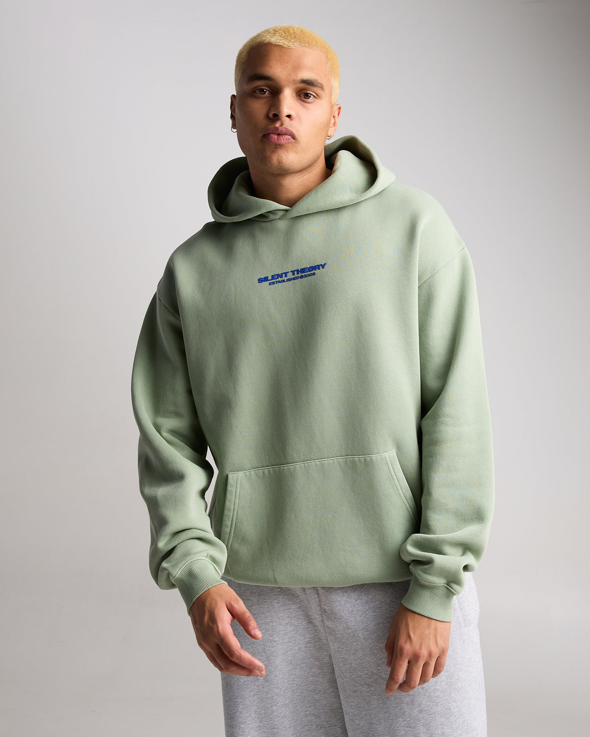 Essential Theory Hoodie Fern