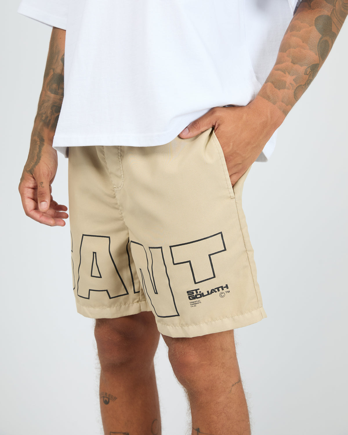 4385050.TAN_5_1784701467000