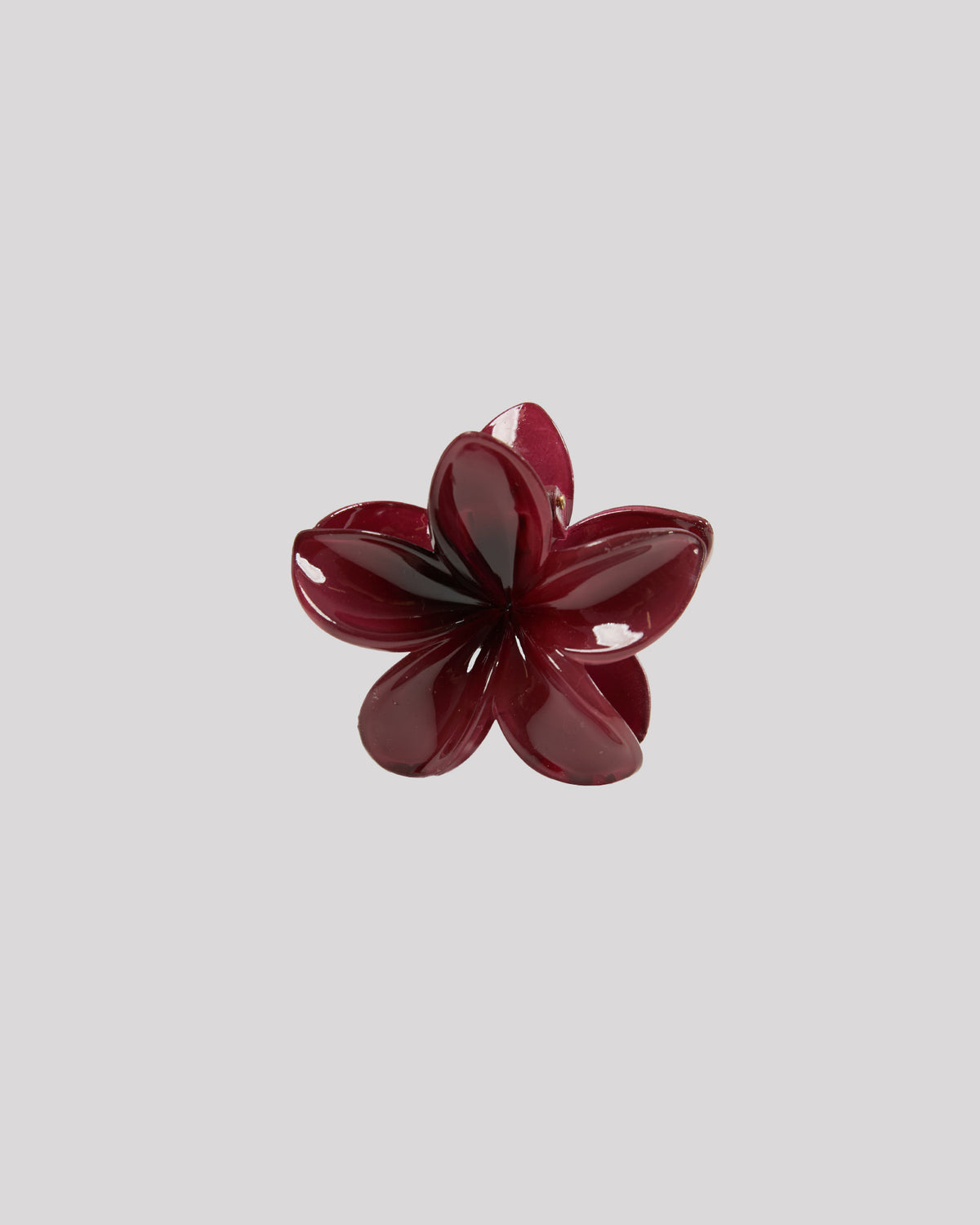 Ruby Hibiscus Clip Port