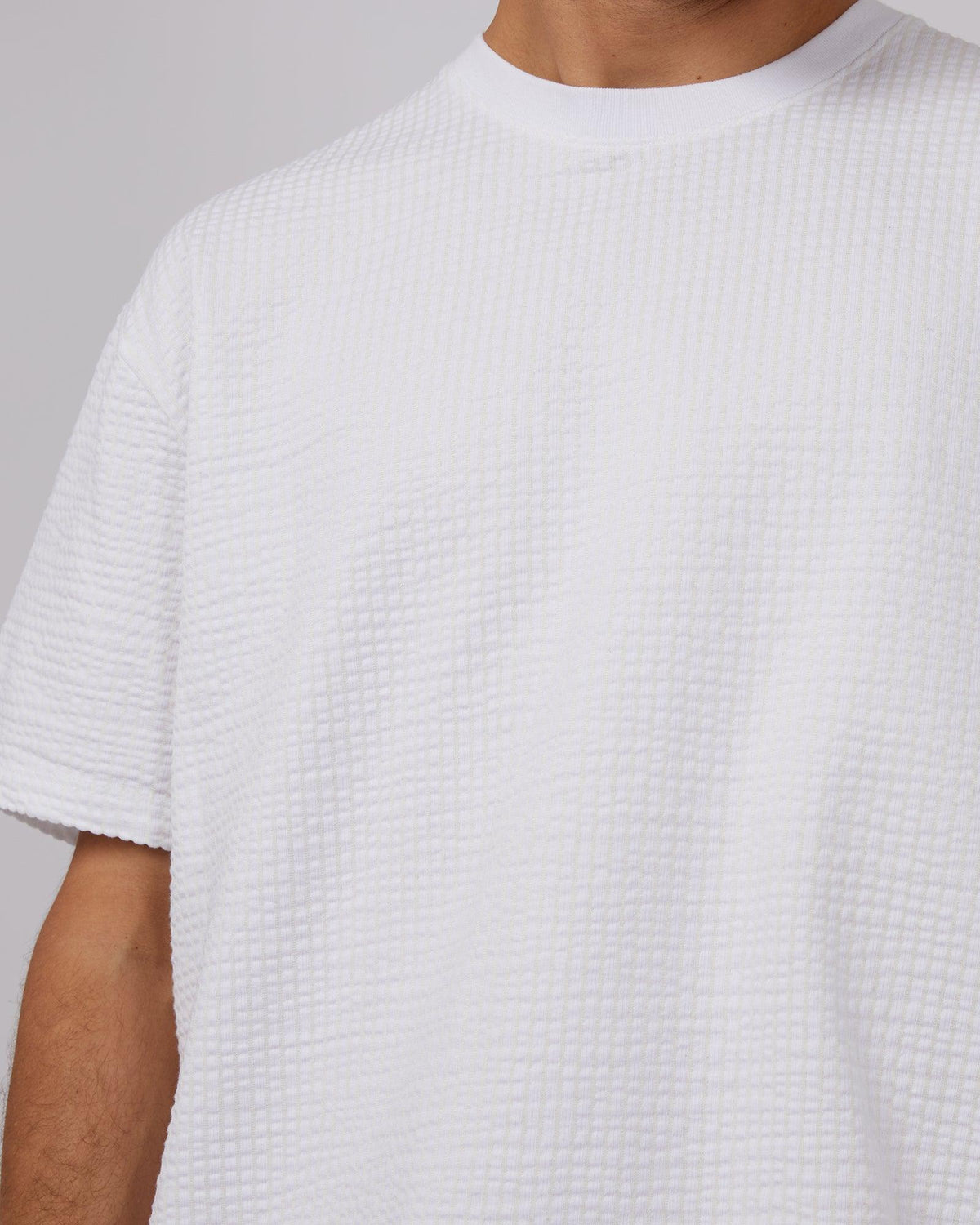 Silent Theory-Seersucker Tee White-Edge Clothing